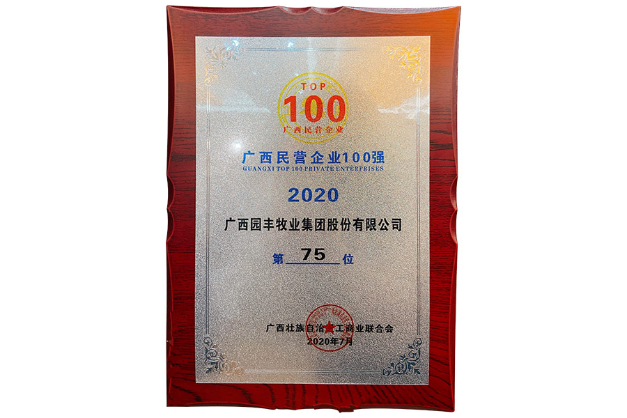 廣西民營(yíng)企業(yè)100強(qiáng)第75位